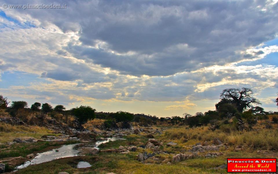 TANZANIA - Tarangire National Park - 13.jpg